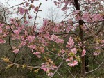IMG-2956